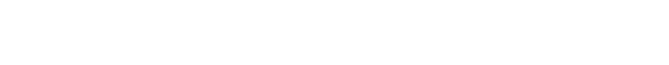 N-Sped-grau-transparent1