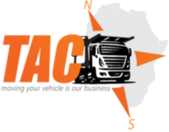 Untitled design (37) (1)-1-1