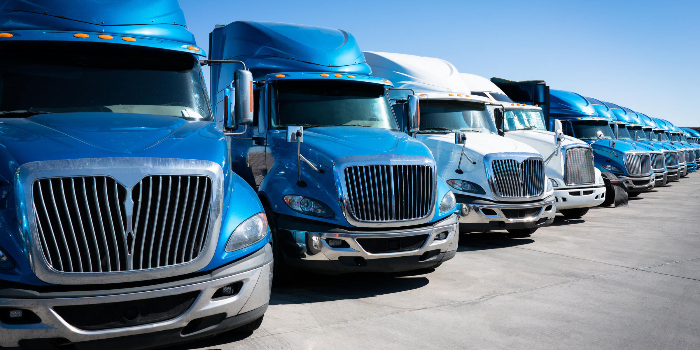 truck-driver-tn3