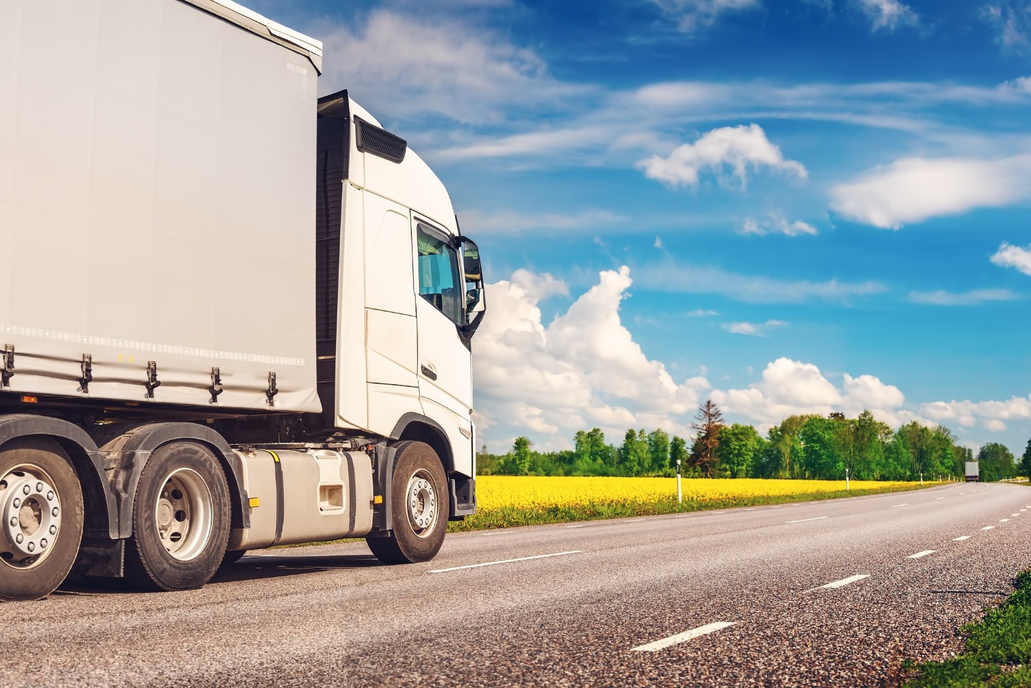 truck on road with trees in background