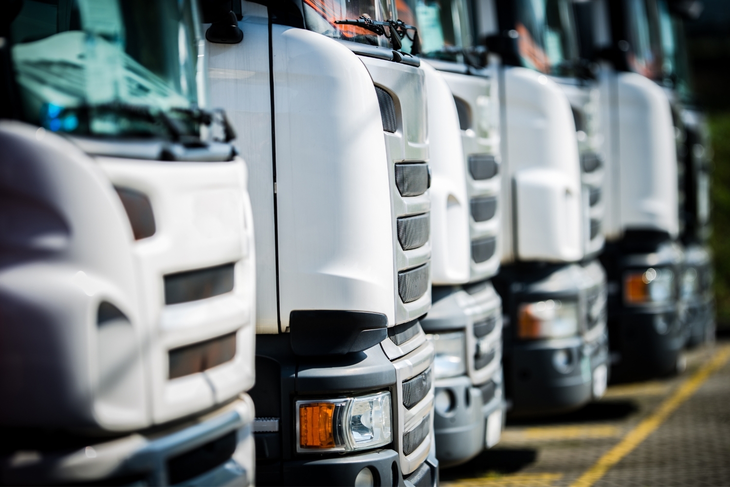 trucks lined up